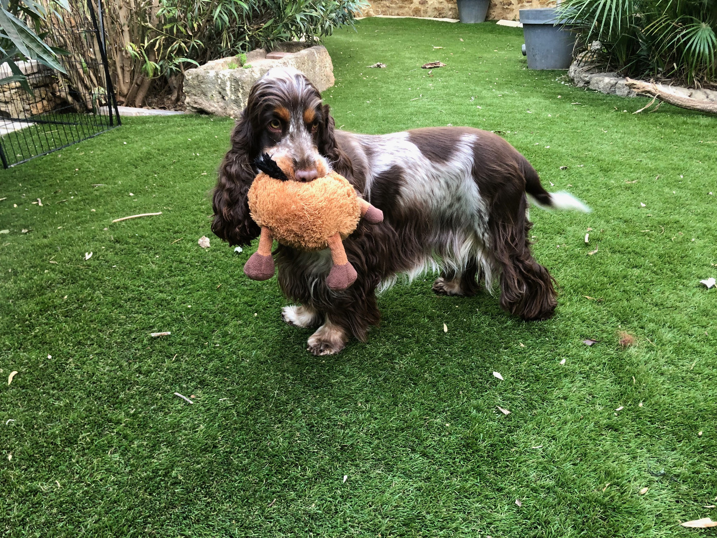 Bébés attendu début mars